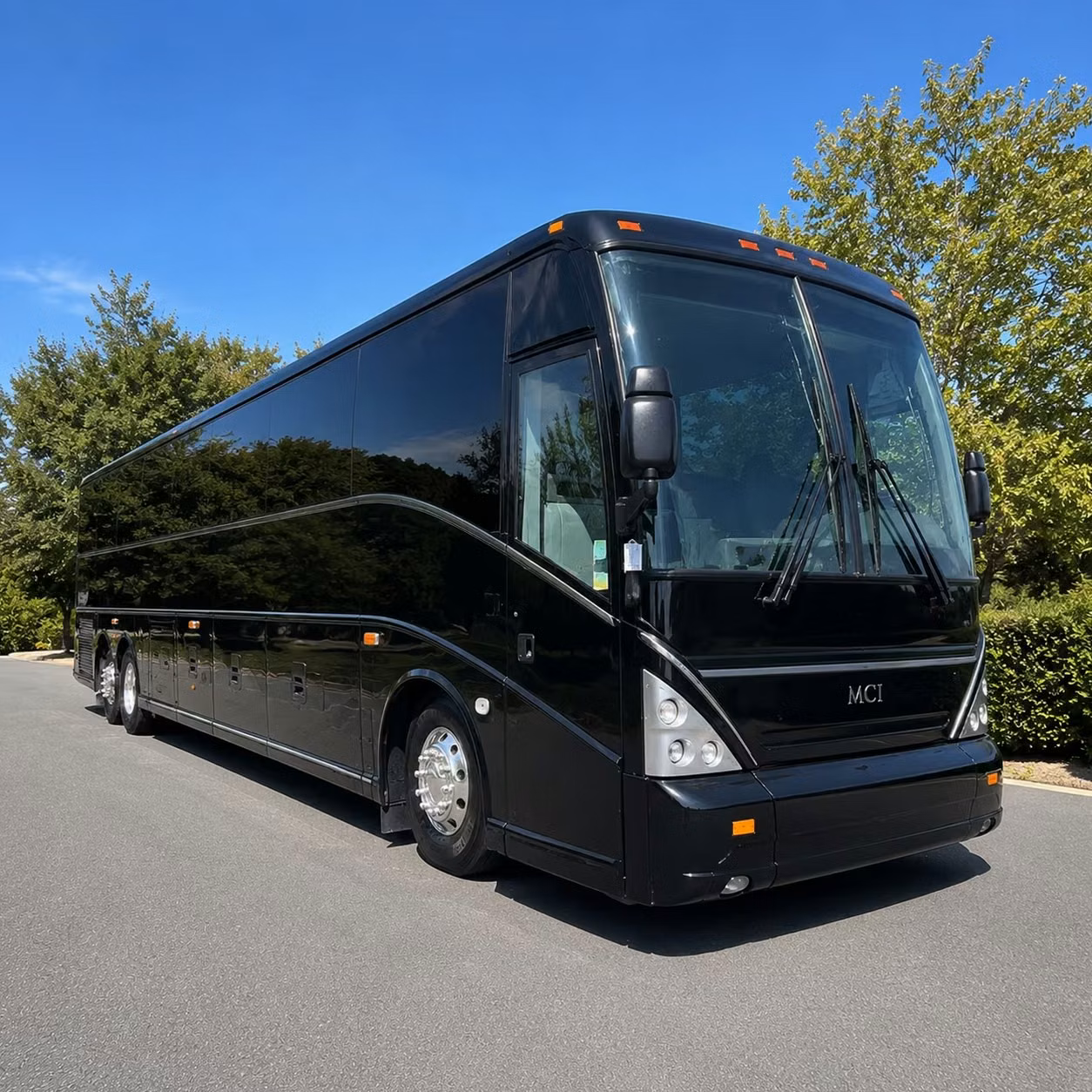 bachelorette party birthday night out bus rentals in north charleston