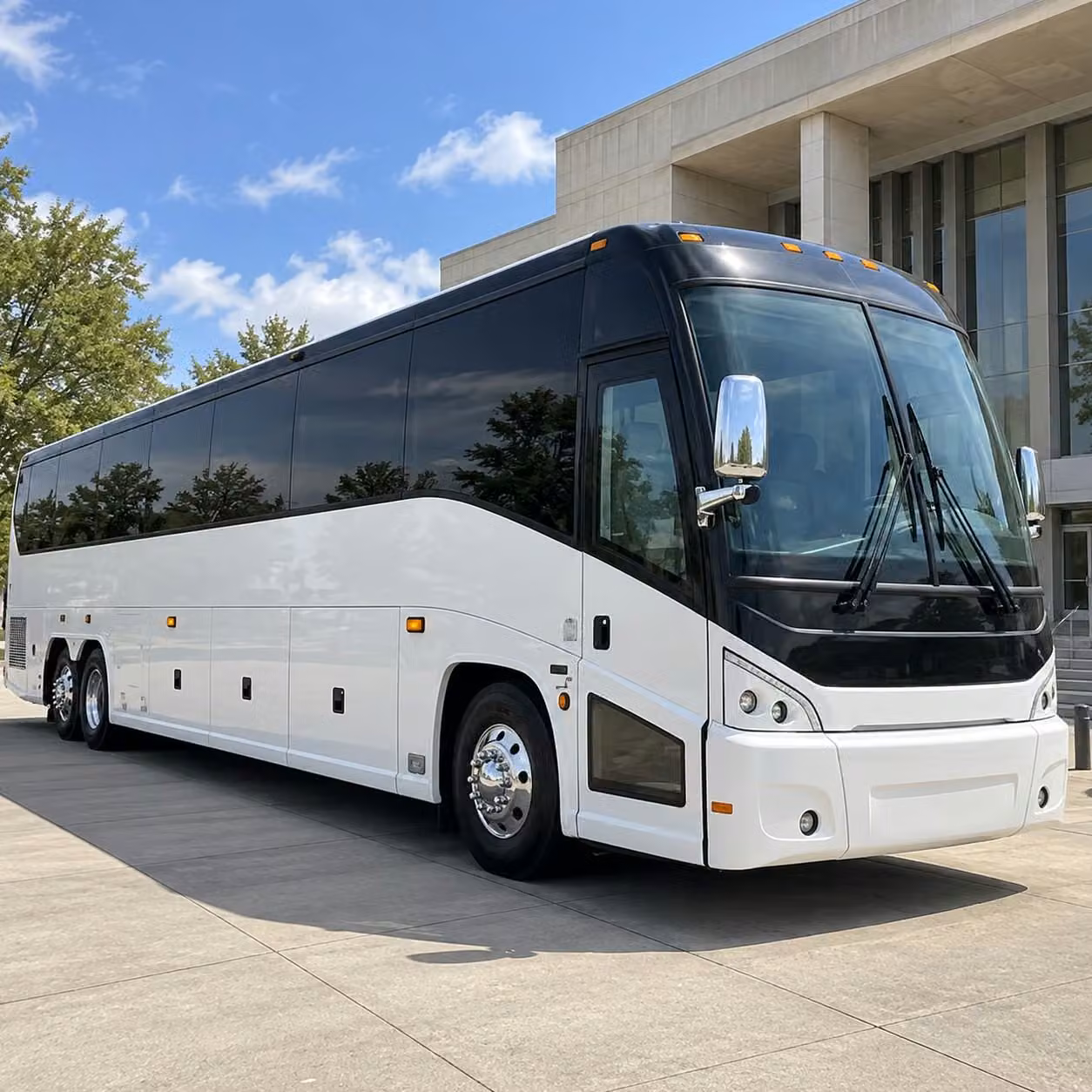 north charleston riverdogs fan buses and minor league baseball transportation